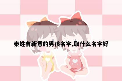 秦姓有新意的男孩名字,取什么名字好