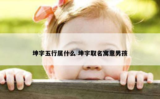 坤字五行属什么 坤字取名寓意男孩