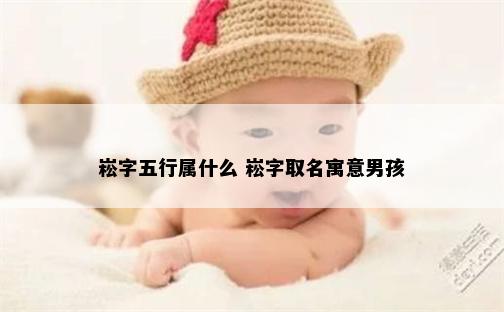 崧字五行属什么 崧字取名寓意男孩