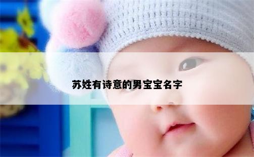苏姓有诗意的男宝宝名字