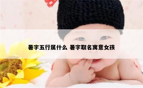 暑字五行属什么 暑字取名寓意女孩