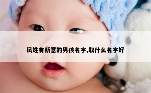 凤姓有新意的男孩名字,取什么名字好