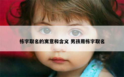 栋字取名的寓意和含义 男孩用栋字取名