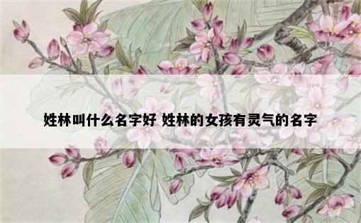 姓林叫什么名字好 姓林的女孩有灵气的名字