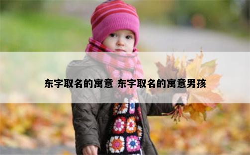 东字取名的寓意 东字取名的寓意男孩